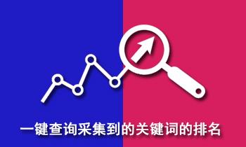 一键查询采集到关键词的排名